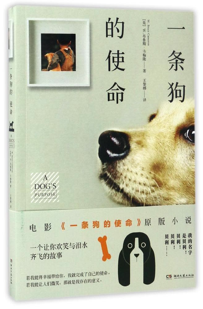 开云电竞凯发国际娱乐官官网