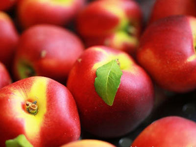 开云电竞凯发国际娱乐官官网