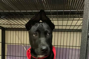 开云电竞凯发国际娱乐官官网